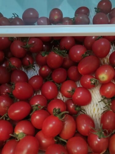 Tomatoes photo review